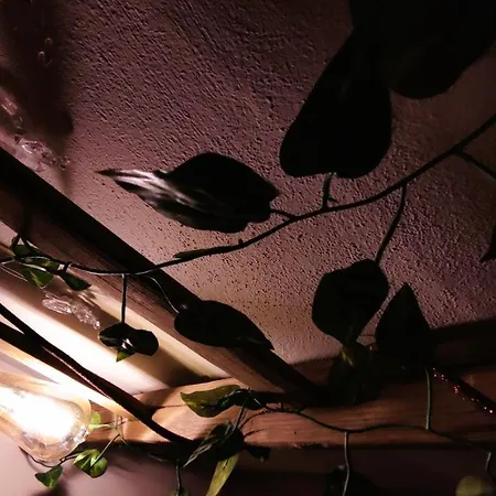 Apartman The Artist's House Cefalù