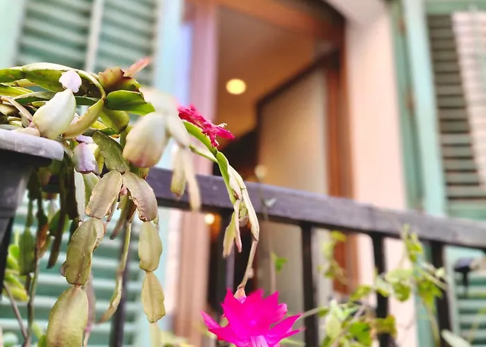 The Artist's House * Cefalu