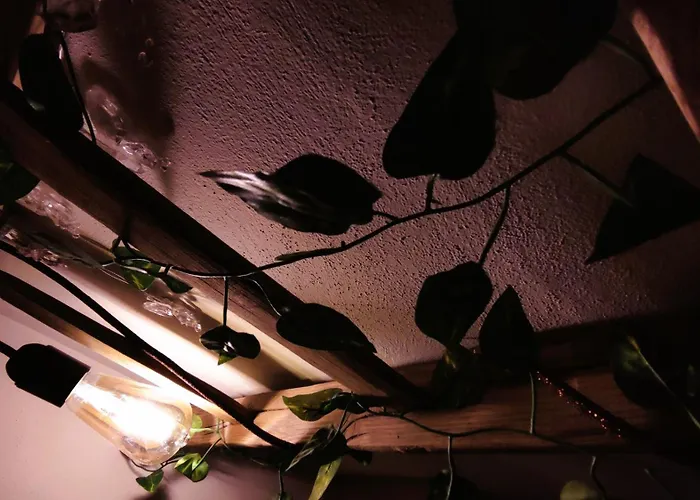 Daire The Artist's House